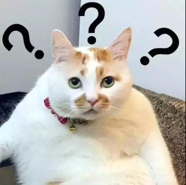 女生背2万元的包,女孩背一千和一万的包