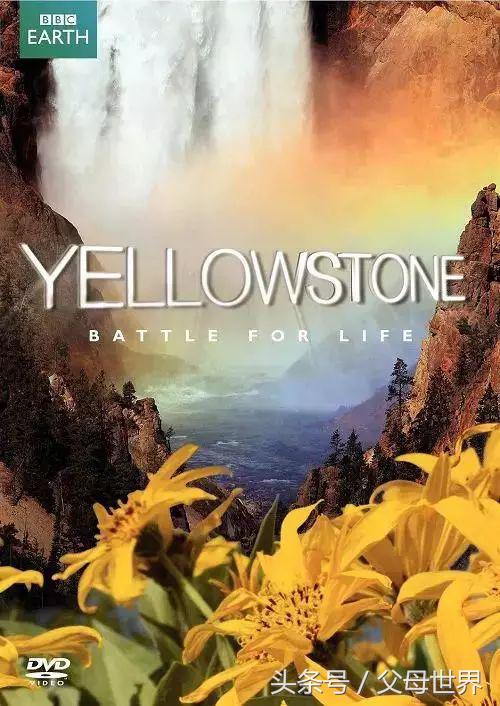 世界地球日，最适合孩子看的18部自然纪录片，趁周末，带娃看起来