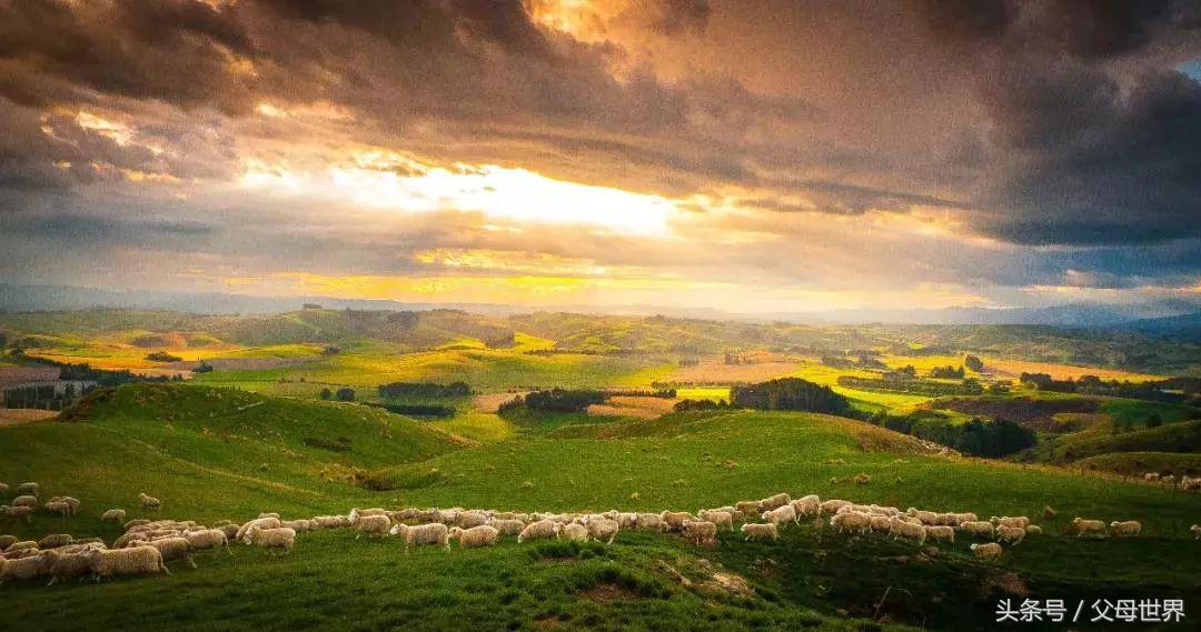 世界地球日，最适合孩子看的18部自然纪录片，趁周末，带娃看起来