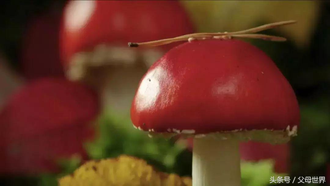 世界地球日，最适合孩子看的18部自然纪录片，趁周末，带娃看起来