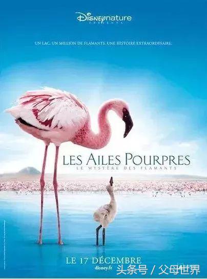 世界地球日，最适合孩子看的18部自然纪录片，趁周末，带娃看起来