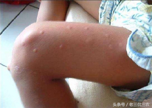 恐怖分子袭击最好躲在哪,如何防御恐怖分子