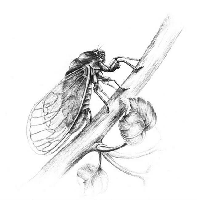 <html>
<head><title>502BadGateway</title></head>
<body>
<center><h1>502BadGateway</h1></center>
<hr><center>nginx</center>
</body>
</html>
<!--apaddingtodisableMSIEandChromefriendlyerrorpage-->
<!--apaddingtodisableMSIEandChromefriendlyerrorpage-->
<!--apaddingtodisableMSIEandChromefriendlyerrorpage-->
<!--apaddingtodisableMSIEandChromefriendlyerrorpage-->
<!--apaddingtodisableMSIEandChromefriendlyerrorpage-->
<!--apaddingtodisableMSIEandChromefriendlyerrorpage-->
