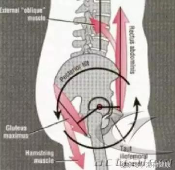 长期跑步可以纠正小腿外扩吗,大腿外翻小腿外扩适合哪种裤子