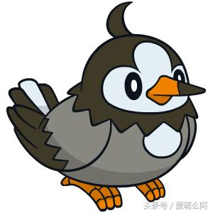 神奇宝贝大图鉴,神奇宝贝图鉴大全集