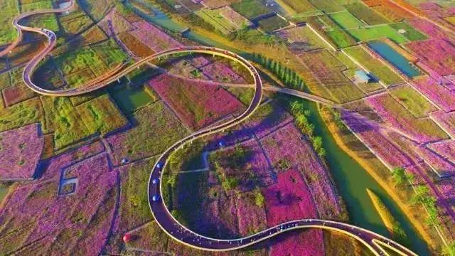 浜斾竴浜插瓙鍑烘父濂藉幓澶勫懆杈规父,杩戞湡鏈夊嚭娓歌鍒掑悧