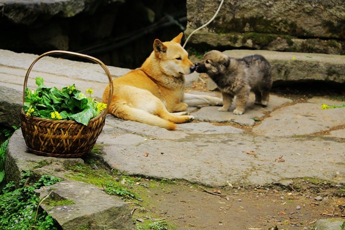 灵山一道美景,灵山就像西游记