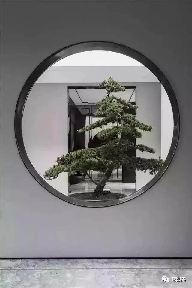 庭院风水知识100条,庭院风水知识