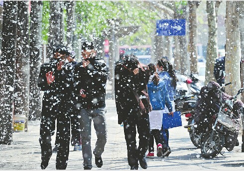杨絮过敏症状有哪些呢,杨絮过敏是因为什么