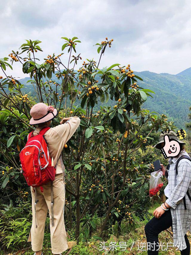 三叠井国家森林公园之旅