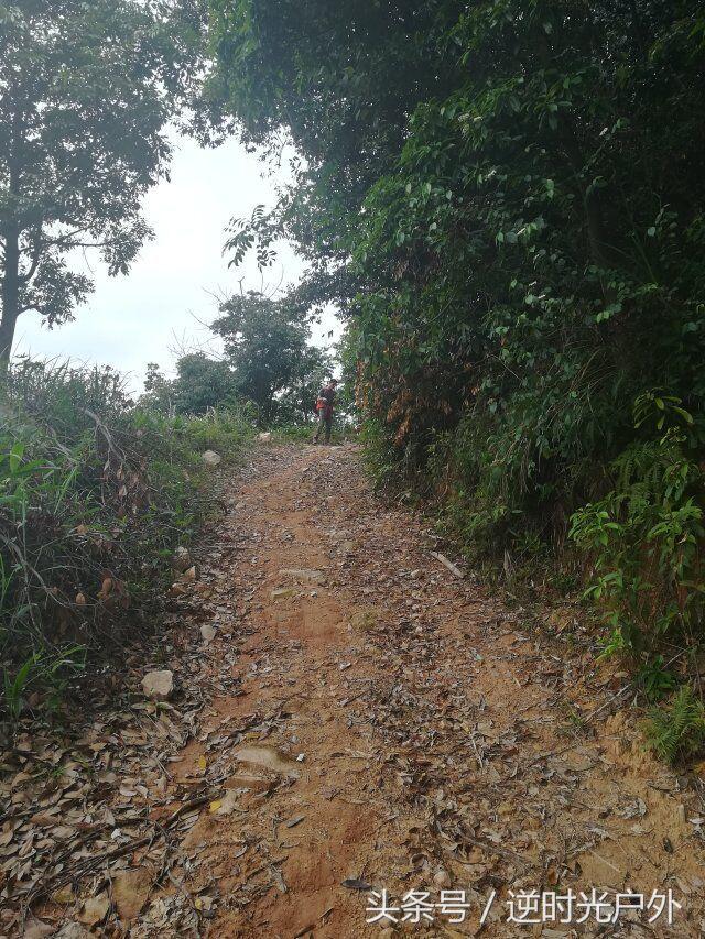 三叠井国家森林公园之旅