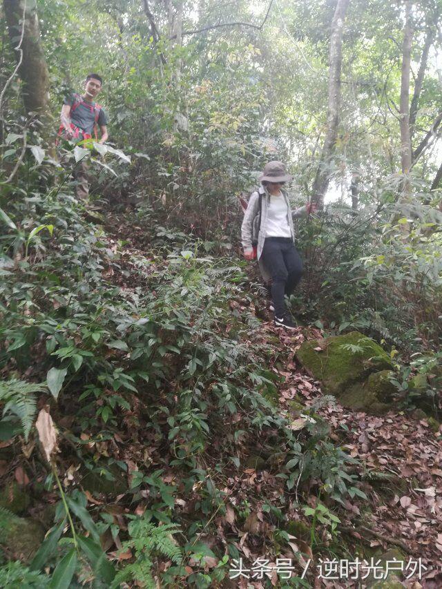 三叠井国家森林公园之旅