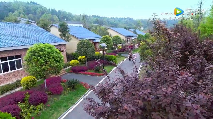 游仙区第五届旅游节,游仙区第六届乡村旅游节