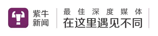 紫牛新闻-数十棋童参赛无望，年花万元培训考的段位证是真是假？