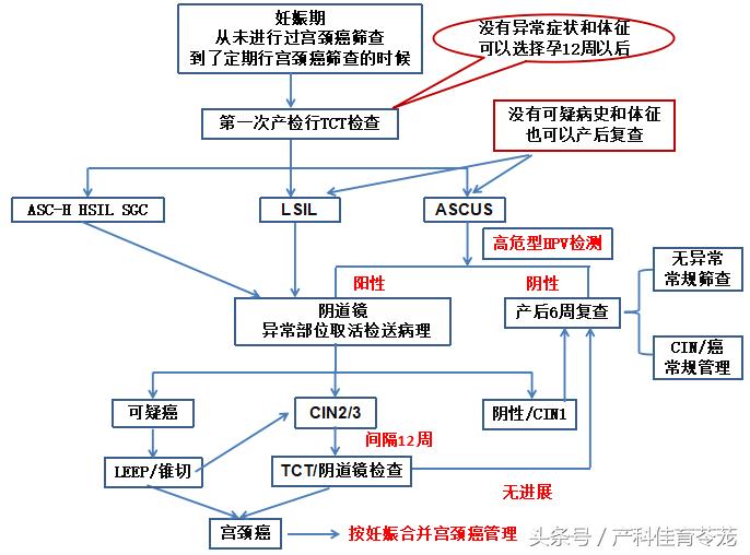 怀孕后宫颈癌筛查有必要做吗,可能怀孕可以做宫颈癌筛查吗