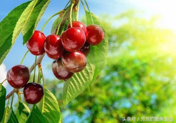 夏天晒黑了怎么办有妙招变白吗,为什么到了夏天不晒也会变黑很多