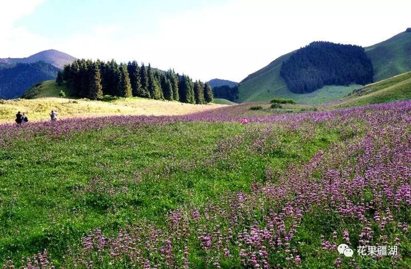2022年乌鲁木齐5月1日放假几天,乌鲁木齐市周六日都放假了吗