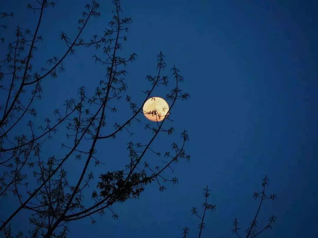 成都五日游最佳攻略及费用自由行,成都三日游最佳攻略超详细