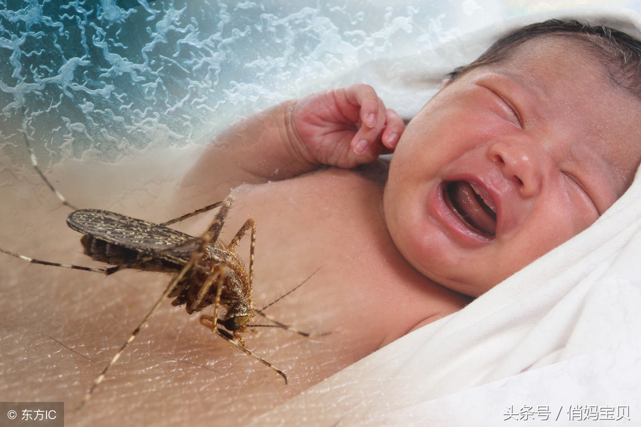 蚊子咬了皮肤抓破溃烂如何去除,小孩脸被蚊子咬了反复抓破怎么办