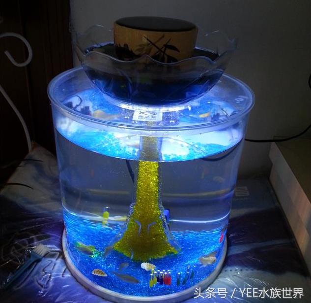 小水泵自制鱼缸过滤系统,小水泵创意作品