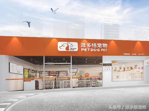 怎么开一家宠物店,开一家宠物店利润有多少呢