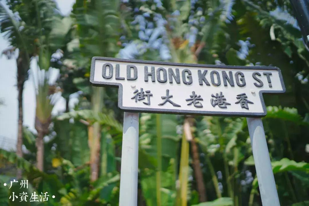 巴南海洋公园一日游攻略 (香港海洋公园游玩攻略)