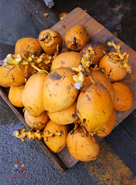 三亚非诚勿扰2拍摄点,非诚勿扰拍摄基地在三亚哪里