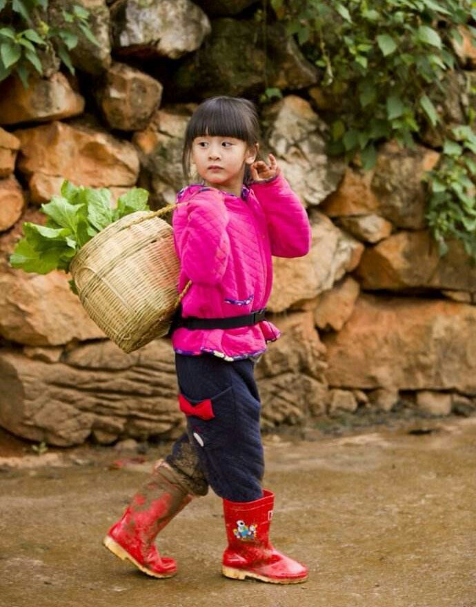 天天和森碟超甜,青梅竹马张亮天天森碟