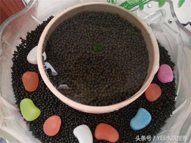 小水泵自制鱼缸过滤系统,小水泵创意作品