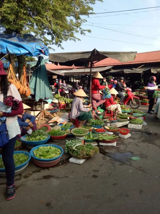 越南旅行之岘港攻略,越南岘港巴拿山风景