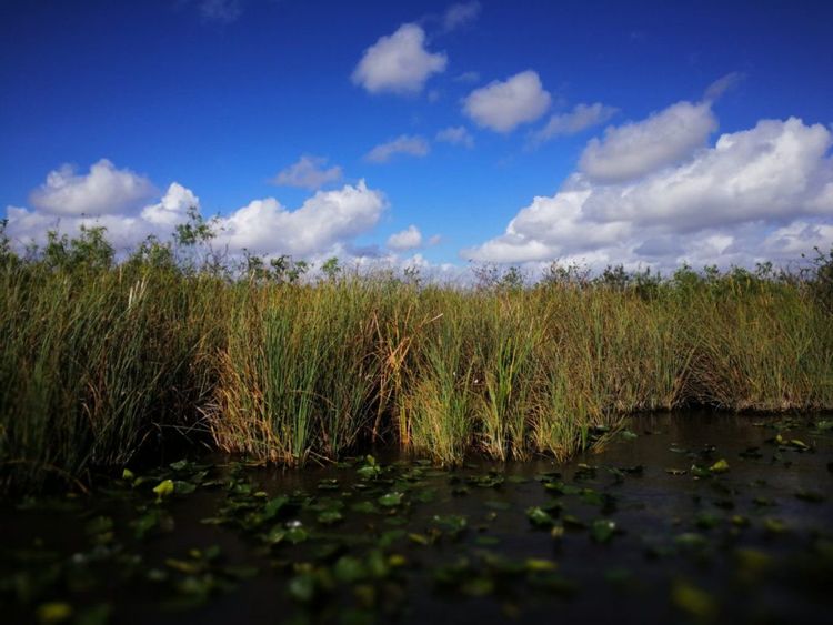 记录最美的瞬间留下美好的回忆,让美好的时光留住那些最美的瞬间