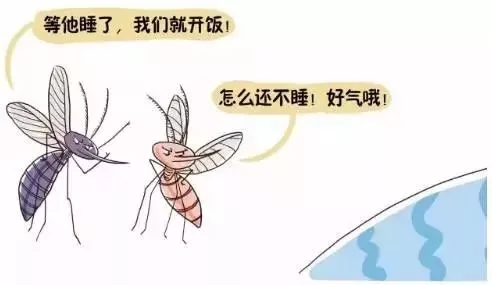 蚊子爱咬o型血准确吗,蚊子为什么咬o型血的人呢