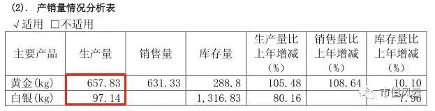“黄金壳”沉浮录：掏空了金山银山后的荣华实业