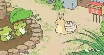 生活圈被它攻占，明星主动“蹭”它热度，现在的流量担当是这只猪