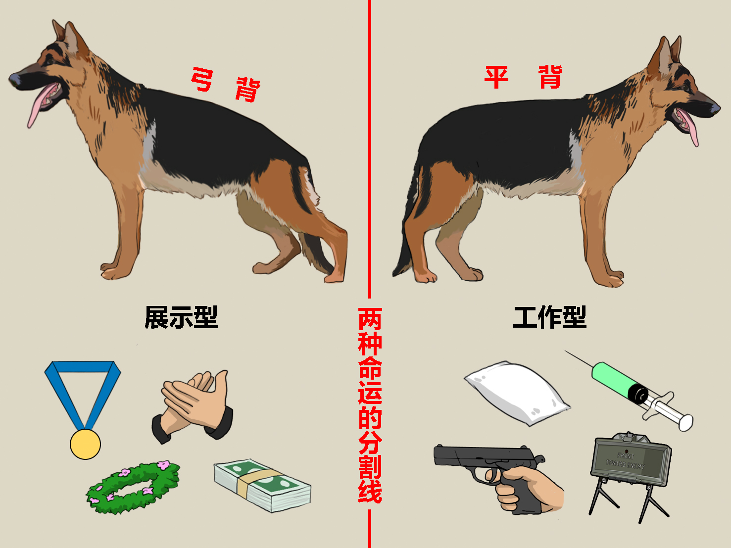 军犬的一生漫画,进击的军犬