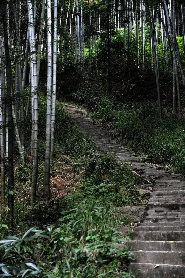 绍兴最美古镇排名,绍兴十大最美乡村