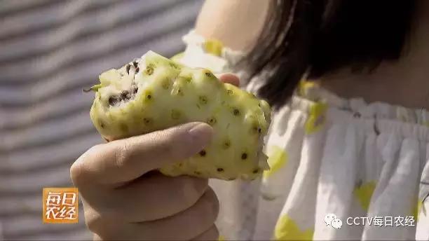 又酸又苦的热带水果,超级酸的热带水果