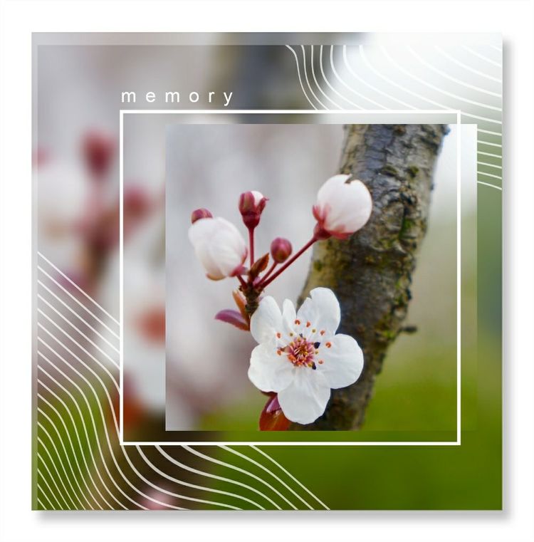 《洞天春》色几多情——（18—7·同韵）