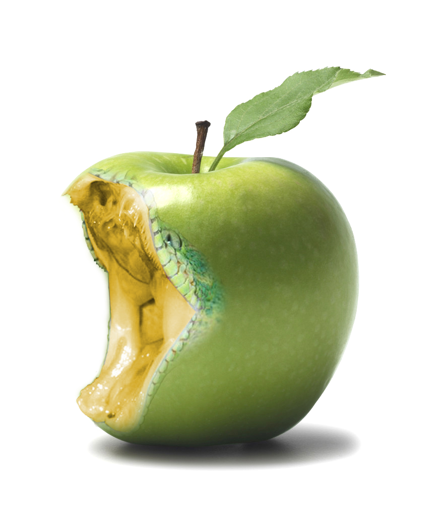 区块链亮剑食品安全,食品安全领域区块链问题