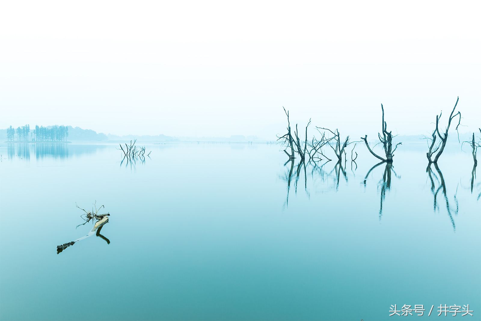 《太上老君虚无自然本起经》|讲述宇宙生成论与修道论