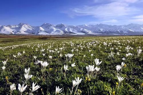 五一出游小短文,五一放假能在疆内游玩吗