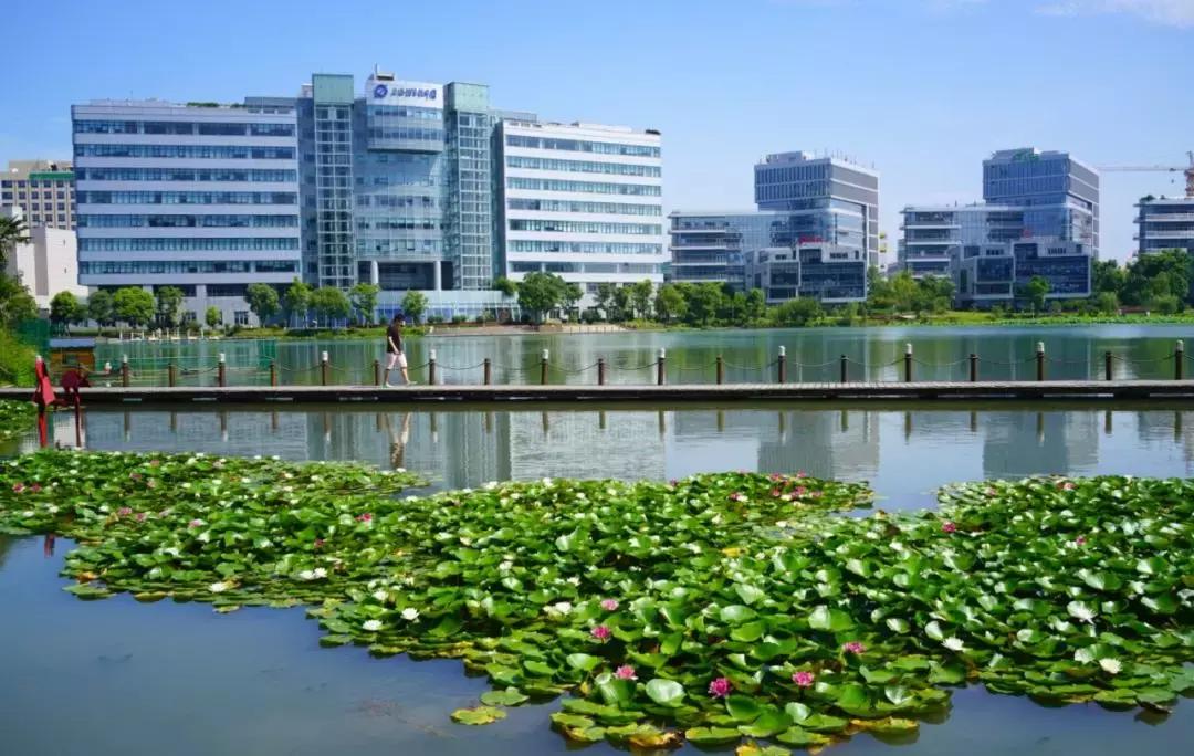 医院基层党组织党建特色及亮点,党支部传承红色精神