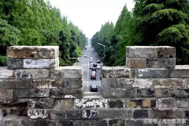 适合南京一日游的三十项免费景点,南京值得打卡的小众景点