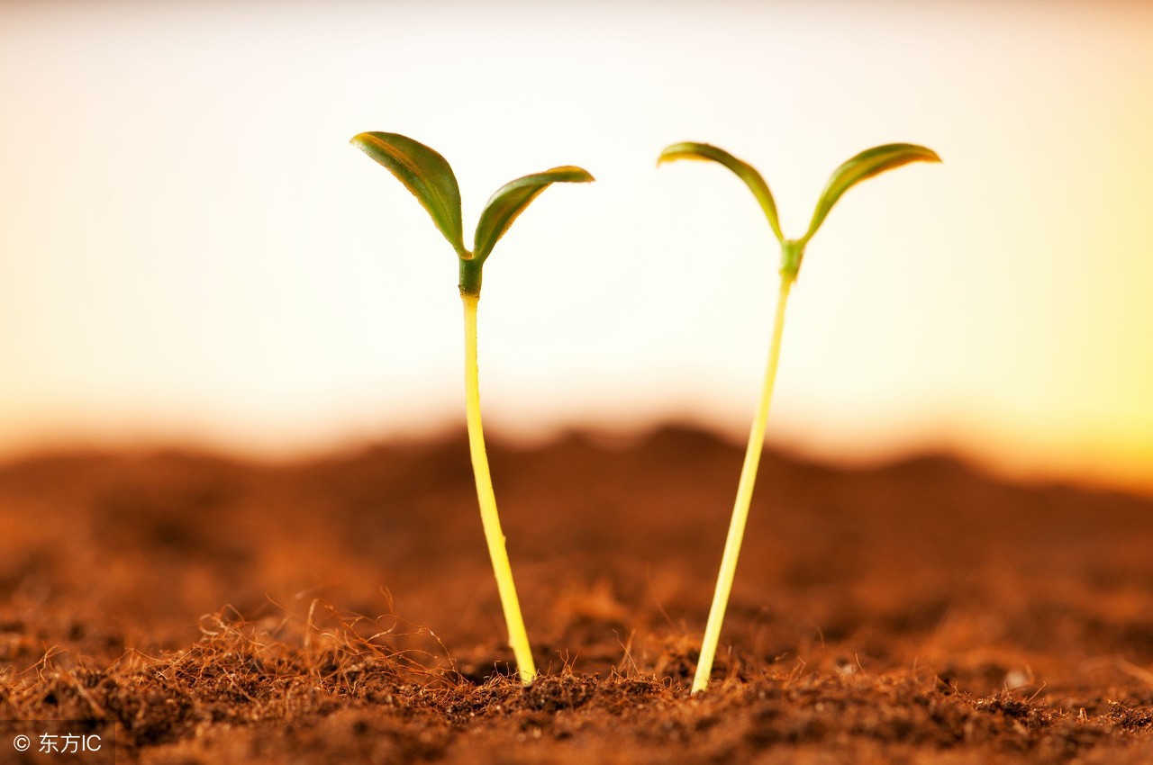 获利比例大于80%的选股公式源码,股价大跌获利筹码不松动选股公式