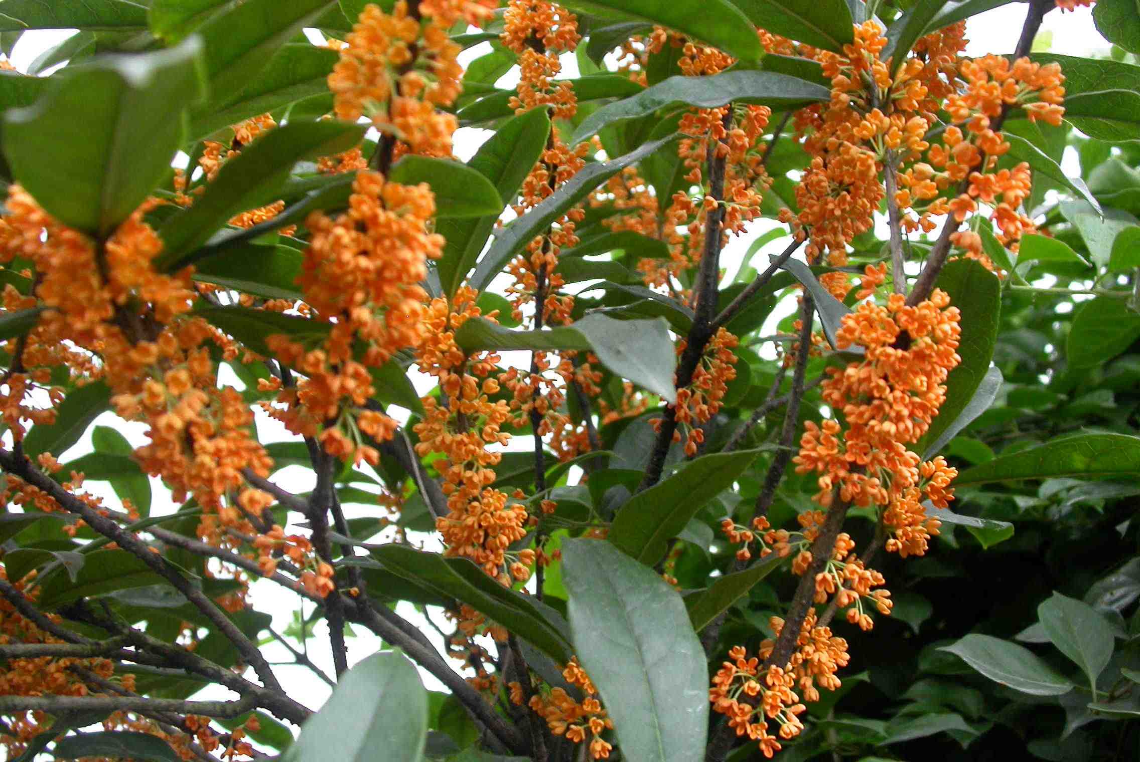 杭州富阳区旅游景点,美丽浙江杭州图片