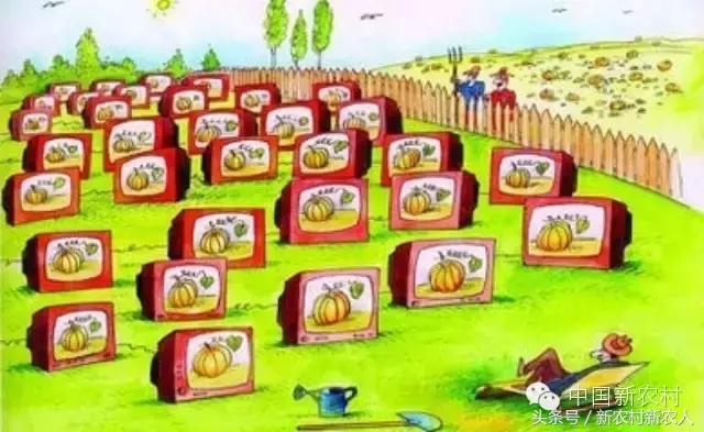 农业想赚钱商业模式是关键,农业创业技术大全