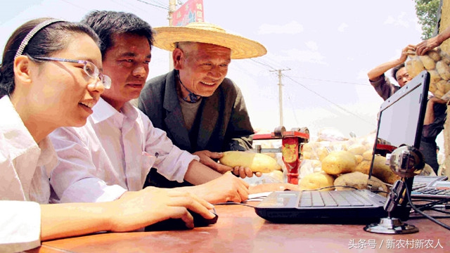 农业想赚钱商业模式是关键,农业创业技术大全