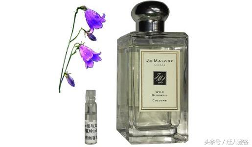 lavieestbelle牌子的香水,全球最好闻的十大女士香水