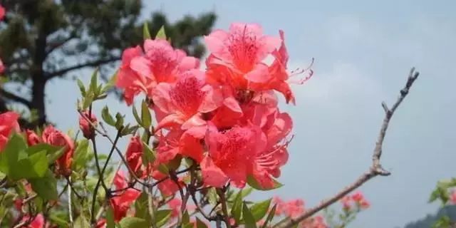 西安周边城市绝美景色旅游地点,西安出发五一4天自驾游路线推荐