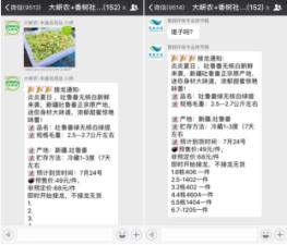 软文营销策略及经验,高质量营销软文写作指南
